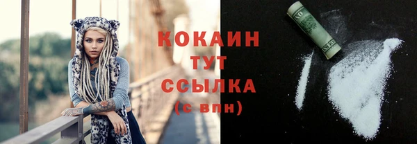 гидра Горнозаводск
