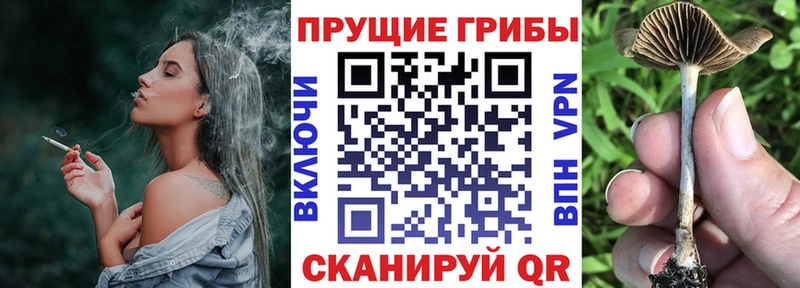 Галлюциногенные грибы мицелий  Корсаков 